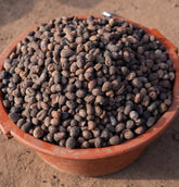 Dried shea nuts gathered in a terracotta basin in Mali