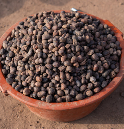 Dried shea nuts gathered in a terracotta basin in Mali