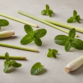 Fresh lemongrass stalks and spearmint leaves on pale stone