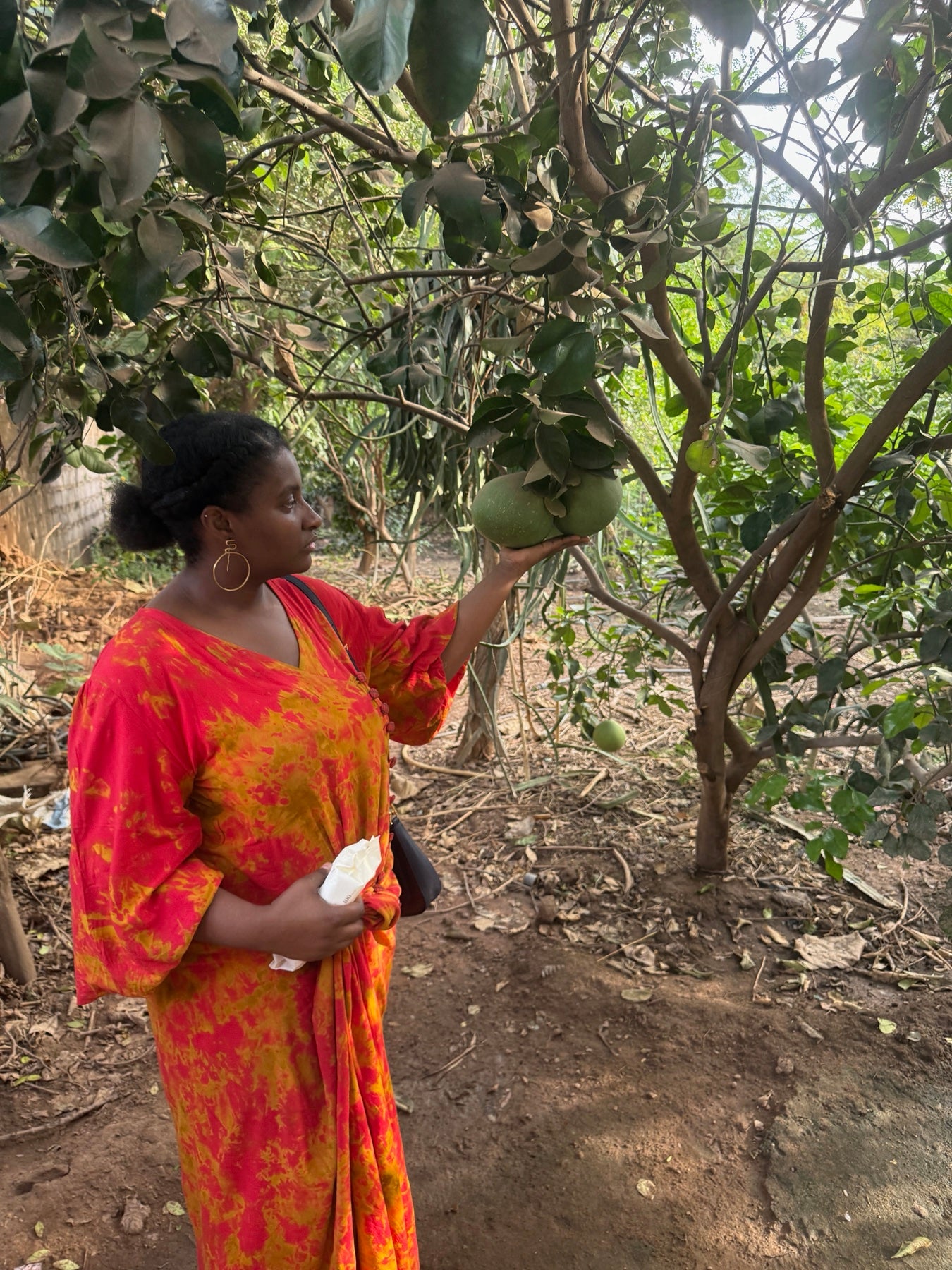 Nina Keita standing among fruit trees in Mali
