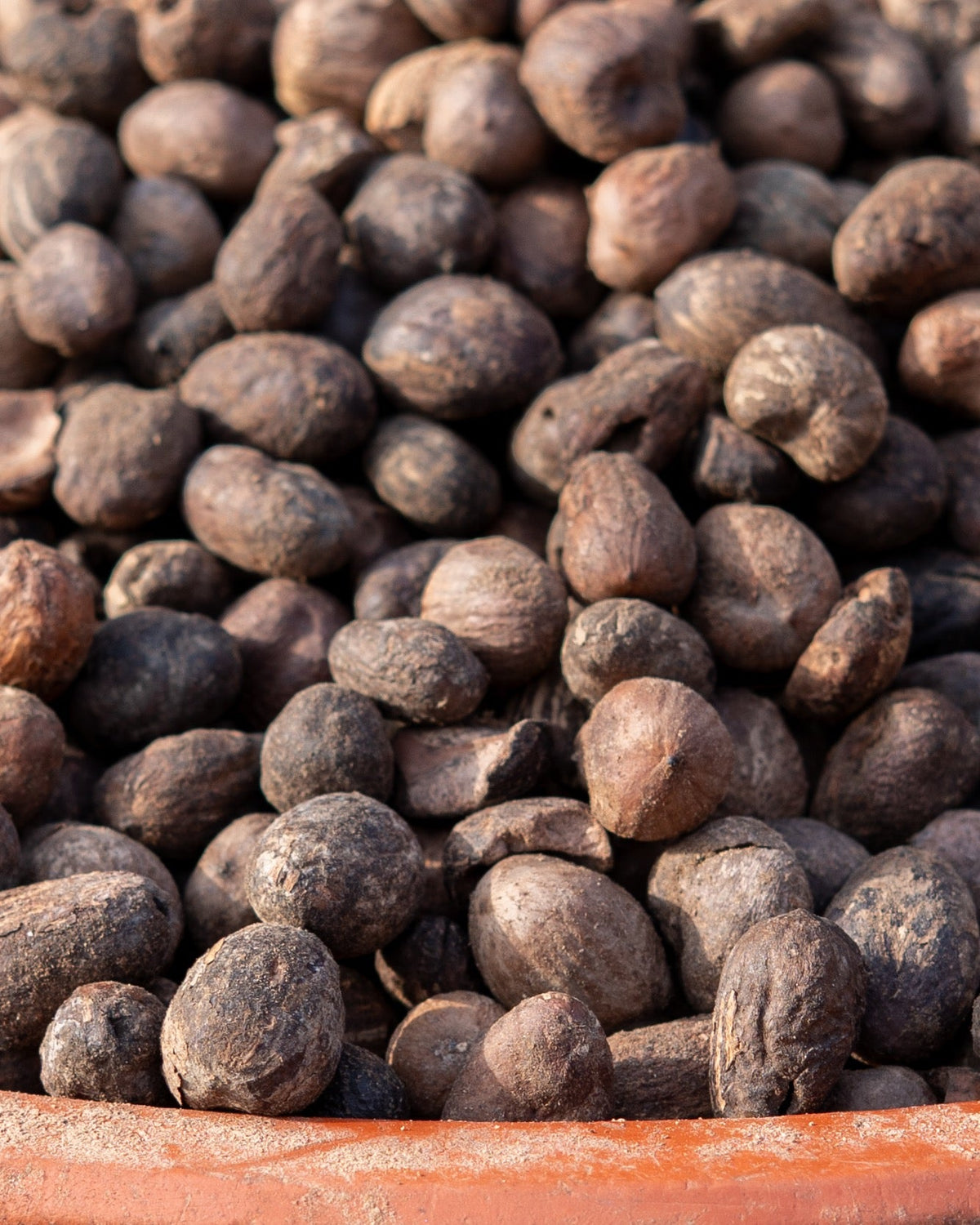 Shea kernels in Bougouni, Mali, before handprocessing into Shea Butter